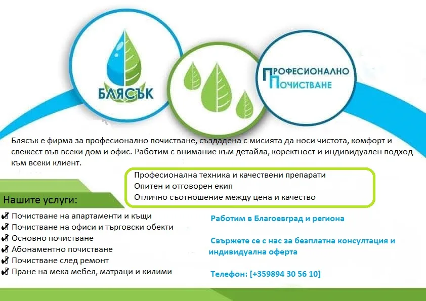 Професионално почистване Бласък28